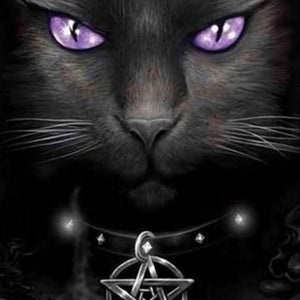 Wicked Cat Diamond Painting Kit