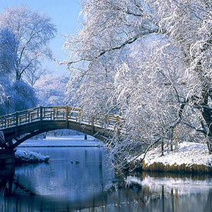 Winter Landscape Painting Kit