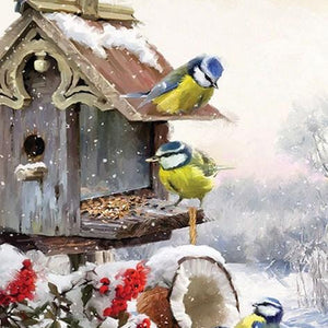 Winter birds & Their Little House Diamond Painting