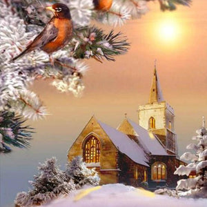 Winter evening & Birds Paint by Diamonds