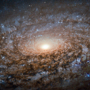 Woolly Galaxy Diamond Painting Kit