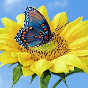 Yellow Sunflower & Blue Butterfly Diamond Painting