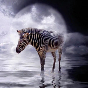 Zebra Standing in the Water Diamond Painting