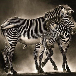 Zebras DIY Diamond Painting
