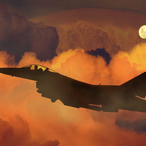 Fighter Under the Sun