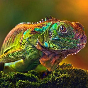 chameleon Close up Diamond Painting Kit