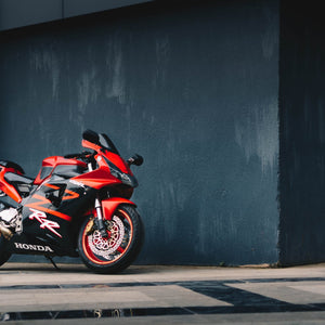 Beast in Red Black Stripes