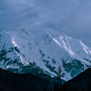 Pakistan Hamaliyas
