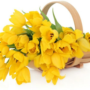 Yellow Flowers In Bucket