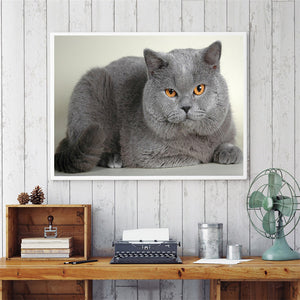 Big Fat Cat Yellow Eyes Diamond Painting