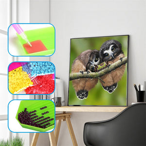 Cute Owl Couple On Branch