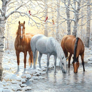 Three Beautiful Horses In Snow