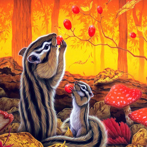 Squirrel With Eating Fruits And Mushroom In Jungle
