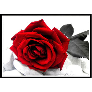 Red Rose Flower Painting