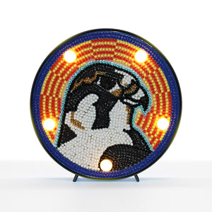 Cute Eagle LED Painting
