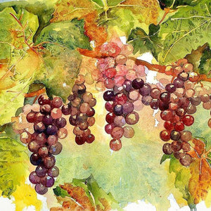 Grapes DIY Diamond Painting