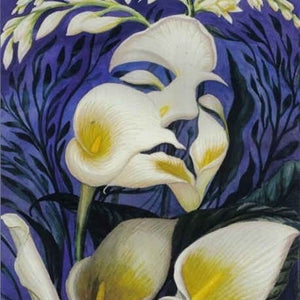 Full Drill 3D Diamond Paintings