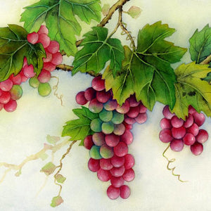 Grapes Diamond Painting Kit