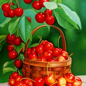 basket of cherries Painting Kit
