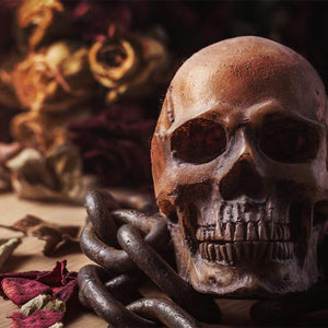 Human Skull DIY Diamond Painting